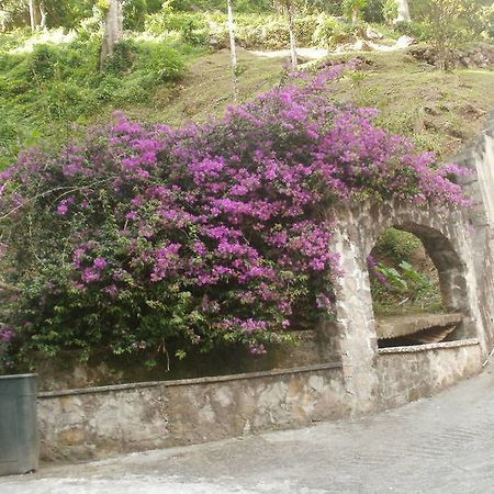 Boinin Heart Villa Soufrière Buitenkant foto