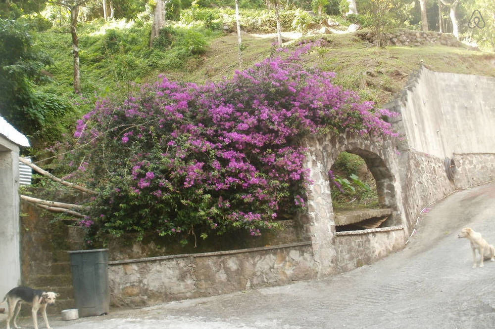 Boinin Heart Villa Soufrière Buitenkant foto